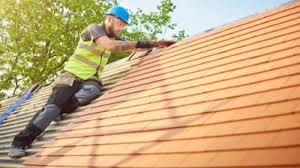 Best Sheet Metal Roofing  in Rushvle, IL