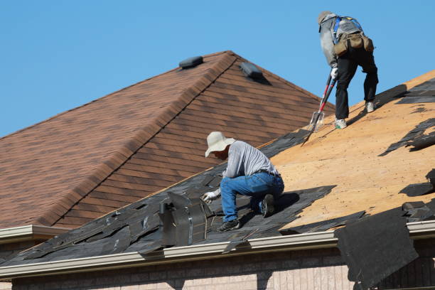 Best Roof Ventilation Installation  in Rushvle, IL