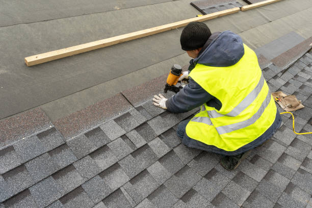Best Solar Panel Roofing Installation  in Rushvle, IL