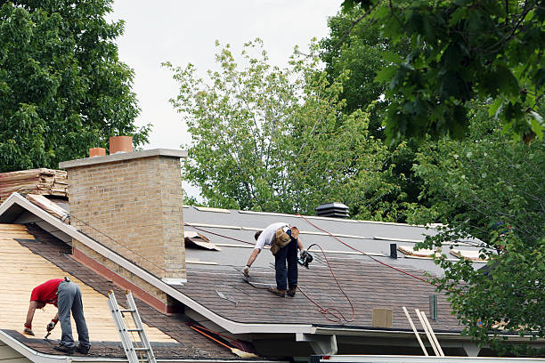 Best Gutter Installation and Repair  in Rushvle, IL
